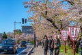 Hirosaki city street view. Cherry blossom in spring season sunny day and clear blue sky