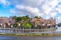 Hirosaki city street view. Cherry blossom in spring season sunny day and clear blue sky