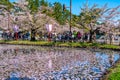 Hirosaki city street view. Cherry blossom in spring season sunny day and clear blue sky