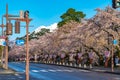 Hirosaki city street view in spring season sunny day