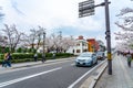 Hirosaki city street view in springtime cherry blossom season sunny day