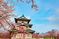 Full bloom Sakura - Cherry Blossom at Hirosaki castle