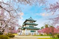 Full bloom Sakura - Cherry Blossom at Hirosaki castle Royalty Free Stock Photo