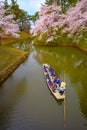 Full bloom Sakura - Cherry Blossom at Hirosaki park, Japan Royalty Free Stock Photo