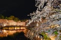 Hirosaki park cherry blossom matsuri festival light up at night in springtime season