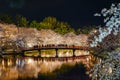 Hirosaki park cherry blossom matsuri festival light up at night in springtime season Royalty Free Stock Photo