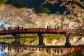 Hirosaki park cherry blossom matsuri festival light up at night in springtime season