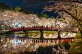 Hirosaki park cherry blossom matsuri festival light up at night in springtime season