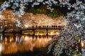 Hirosaki park cherry blossom matsuri festival light up at night in springtime season