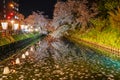 Hirosaki park cherry blossom matsuri festival light up in springtime season night