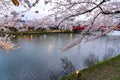 Hirosaki park cherry blossoms matsuri festival in springtime season