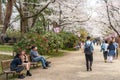Hirosaki Park cherry blossoms Matsuri festival in springtime season sunny day morning Royalty Free Stock Photo