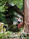 Forest path leading to the entrance gate of Fukuoji temple Royalty Free Stock Photo