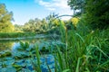 Hirskiy Tikich river near Buky`s canyon, Buky, Ukraine