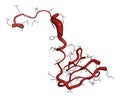 Hirudin protein molecule. Anticoagulant protein from leeches that prevents blood clotting by inhibiting thrombin. Topically used Royalty Free Stock Photo