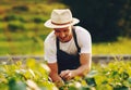 His gardening skills are in full bloom. a handsome young man working in a garden. Royalty Free Stock Photo