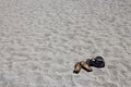 His and hers flip flop sandals on the sandy beach Royalty Free Stock Photo