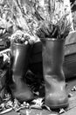 His and hers gumboot garden