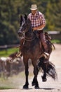 His horse is his best friend. a cowboy riding his horse on a ranch. Royalty Free Stock Photo