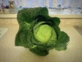 Leafy green cabbage on counter Royalty Free Stock Photo