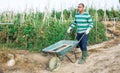 Hispanic farmer carrying empty wheelbarrow on vegetable field