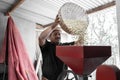 An Hispanic farmer is dropping coffee beans into the peeling machine