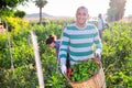 Hispanic farmer satisfied with crop of bell peppers