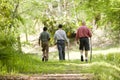 Hispanic father and sons hiking on trail in woods