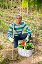 Hispanic gardener proud of harvest of vegetables Royalty Free Stock Photo