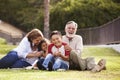 Hispanic grandparents sitting on the grass in the park with their grandchildren laughing, low angle