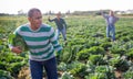 Hispanic man fleeing from farmer field with stolen cabbage