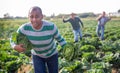 Hispanic man fleeing from farmer field with stolen cabbage