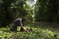 Hispanic man on his knees planting a small plant with a black shovel in a green field surrounded by trees