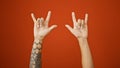 Hispanic man\'s tattooed hands casting symbolic rock sign over the isolated red background, a gesture with adult male fingers