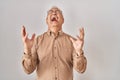 Hispanic senior man wearing glasses celebrating mad and crazy for success with arms raised and closed eyes screaming excited Royalty Free Stock Photo
