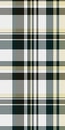 Hispanic textile fabric pattern, repeating texture seamless plaid. Graphical check tartan background vector in black and white Royalty Free Stock Photo