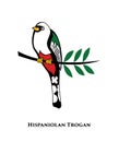 Hispaniolan trogan bird vector design Royalty Free Stock Photo