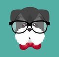 hispter puppy glasses red bow