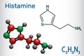 Histamine molecule. It is amine, nitrogenous compound, stimulant of gastric secretion, vasodilator, and centrally acting Royalty Free Stock Photo