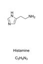 Histamine molecule, skeletal formula Royalty Free Stock Photo
