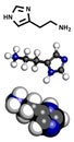 Histamine neurotransmitter, molecular model