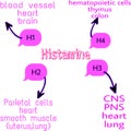 Histamine receptors location