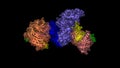 Crystal structure of histone acetyltransferase complex