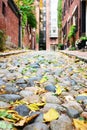 Historic Acorn Street at Boston Royalty Free Stock Photo