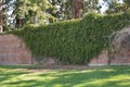 Historic Arthur Wall built by convicts in 1830 as a heated wall, Hobart