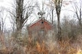 Historic brick building in overgrown brush visible in winter NYS FingerLakes