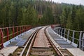 Historic bridge over the Ziemestal in Thuringia, Germany, with a disused railway line Royalty Free Stock Photo