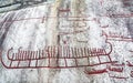 Historic bronze age rock carvings in tanum, Sweden