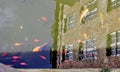 A historic building reflected in a canal full of koi swimming Royalty Free Stock Photo