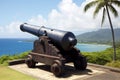 historic cannon on a forts parapet